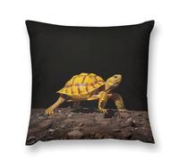 Throw Pillow Covers Super Soft Plush Pillow Cushion Cases Modern Decorative Pillowcases Home Decor Square Turtle Ground Walking Pillows Case for Couch Bed and Chair 12 "x12