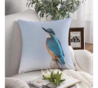 Throw Pillow Pillowcase Beautiful Nature with Birdwatching Scene Common Kingfisher Alcedo Meadow Animals Singing Wildlife Throw Pillow Cover Square Cushion for Couch Chair Bedding 18x18 Inch