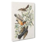 Thrush & Mountain Mocking Birds by John James Audubon Canvas Print for Living Room Bedroom Home Office Décor, Wall Art Picture Ready to Hang, 30 x 20 Inch (76 x 50 cm)