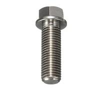 THua store M10 x 1.25mm Titanium Ti Hex Head Flange Bolt 25 30 35 40 50 55 70 80 90 110mm (Color Name : M10x70mm)