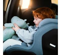 Thule Elm Black Car Seat