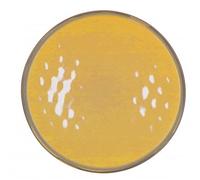 THUN Rose & TULIPANI - Dinner Plate Concerto Glam Ocher