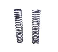 Thunder Tiger EB4 S2/2.5 & RALLY 1:8 Buggy PD0752 Spring Rear Blue 1,6 mm T2P®