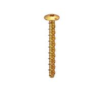 Thunderbolt All-Purpose Anchors Pan Head Zyp - M6 X 50 - Box Of 100