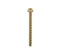 Thunderbolts All-Purpose Anchors Hexagon Flange Head M5 x 30 - Box of 200 in Gold Thunderbolts Gold