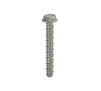 Thunderbolts All-Purpose Anchors M6 x 50 - Hexagon Flange Head - Box of 100 in Silver Thunderbolts Silver