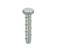 Thunderbolts All-Purpose Anchors M8 x 100 - Box of 100 in Silver Thunderbolts Silver