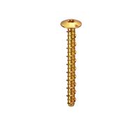 Thunderbolts All-Purpose Anchors Pan Head ZYP M6 x 30 - Box of 100 in Gold Thunderbolts Gold