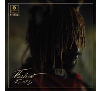 Thundercat : It Is What It Is CD (2020) NEW FREE Shipping, Save £s