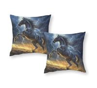 Thundering Horse Storm Art Pillow Cases 2 Pack Luxury Standard Cheap Pillows for Home Spring Decor 20"x20"