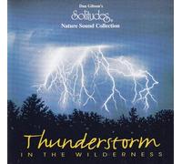 Thunderstorm in the Wilderness by Dan Gibson (1995-02-01)