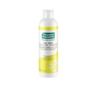 THURSDAY PLANTATION Tea Tree Scalp Care Shampoo 250ml (PACK OF 1)