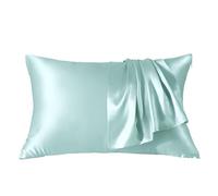 THXSILK SeidenPillowcase 40 x 60 cm for Hair and Skin - 22 Momme Double-Sided 100% Mulberry Silk Hypoallergenic with Hidden Zip - 1 Piece Light Blue