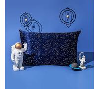 THXSILK Silk Pillowcase for Hair and Skin, 100% Mulberry Silk with Hidden Zipper, 19 Momme Hypoallergenic, Constellation Print Pillow Cover, Queen