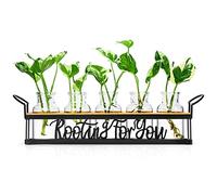 THYGIFTREE Plant Propagation Stations with Metal Stand, Tabletop Plant Terrarium for Propagating Hydroponic, Retro Glass Planter Flower Vase Home Kitchen Office Decor, Plant Lover Gifts