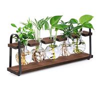 THYGIFTREE Plant Propagation Stations with Wooden Stand, Desktop Retro Plant Terrarium Bulb Vase for Indoor Hydroponic Flowers, Tabletop Glass Planter Housewarming Gifts for Plant Lovers