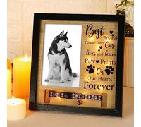 Thyle 9 x 9 Inch Pet Memorial Picture Frame with LED Light Dog Memory Gift Dog Collar Memorial Frame for Loss of Dog Sympathy Gift for Remembrance Bereavement Passed Away Loss of Dogs Cats