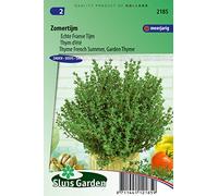 Thyme French Summer, Garden Thyme - Herb Seeds