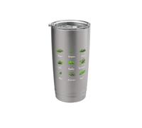 Thyme Oregano Sage Dill Parsley Tarragon Mint Rosemary Basil Stainless Steel Insulated Tumbler