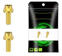 Ti-Alloy Water Bottle Holder Screws M5x12mm Flat Head(gold)