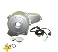 TianChuangs Motorbike Crankcases Engine Guards For ATV 50cc-125cc Motorcycle Left Engine Stator Crankcase Cover Engine Stator Cover Engine Cover Engine Cover Protectors(Cover)