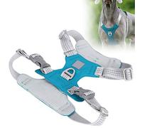 TianfuSpanda Dog Harness With Adjustable Oxford Fabric, Dog leash With Bright Reflective Stripes, Anti Burst Comfort Vest Gear for Small Canine and Feline Pets (M)
