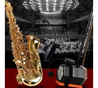 TIANHENGMart Saxophone Wireless Microphone, ABS Wireless Microphone Kit With Rechargeable Lithium Battery For Saxophone, Trumpet, Tuba, Trombone, Clarinet(1 in 2 Erhu)