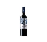 Tianna Bocchoris Negre Tinto 2023