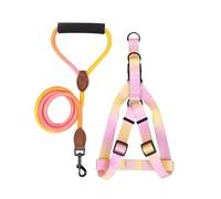 TIANQUXNGI Dog Harness for Small Dogs Fabric Chest Harness Outdoor Training Harness Adjust Leash for Dog Walking Supply