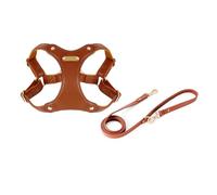 TIANQUXNGI Dogs Harness for Small Dogs Leather Vest Harness Outdoor Training Vest Harness Adjustable Vest for Dog Pet Supply