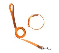 TIANQUXNGI Heavy Duty Dog Collar Leash for Large Dogs Walking Hiking Harnesses Strong Pet Dog Leash