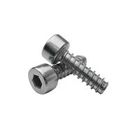 tianwandong 100pcs Stainless Steel Hex Socket Tapping Screw For Plastic M2 M2.6 M3 M3.5 M4 M5(M2X10)