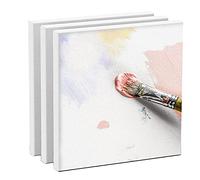 Tiardey 3pcs Artist Blank Canvas,20X20cm (8”x8”) Square Painting Canvas Frame Stretcher Painting Board for Acrylic Paints,Oil Paints Ideal for Professional Artist,Hobby Painter & Beginner