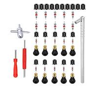 Tiardey Tire Valve Stem Puller Tools Set with 10 Pcs TR412 Snap-in Valve Stems with Valve Stem Cores, 1 Pcs Dual Single Head Valve Core Remover 1 Pcs 4-Way Valve Tool