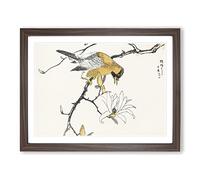 Tibetan Hoopoe Bird By Numata Kashu Asian Japanese Framed Print | A3 Walnut Framed Wall Art | Ready to Hang | Asian Nature Picture | Living Room Bedroom Lounge Office