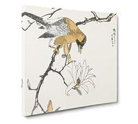 Tibetan Hoopoe Bird by Numata Kashu Canvas Print | Gallery Wrapped 30mm Frame Wall Art | 20x20 inches | Ready to Hang | Modern Animals Picture | Living Room Bedroom Lounge Office