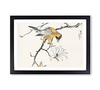 Tibetan Hoopoe Bird by Numata Kashu Framed Print | A2 Black Framed Wall Art | Ready to Hang | Modern Nature Picture | Living Room Bedroom Lounge Office