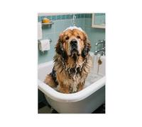 Tibetan Mastiff Taking A Bath Funny Bathroom (5) Canvas Poster Bedroom Decor Landscape 24x36inch(60x90cm)