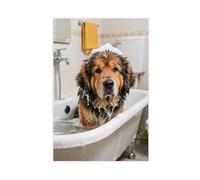 Tibetan Mastiff Taking A Bath Funny Bathroom (8) Canvas Poster Bedroom Decor Landscape 08x12inch(20x30cm)