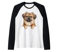 Tibetan Spaniel Cute Peeking Tibbie Dog Lover Raglan Baseball Tee