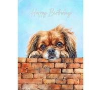 Tibetan Spaniel Dog Art Birthday Card