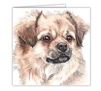 Tibetan Spaniel Dog Art Card/Greetings Card (AC-195)