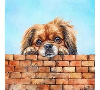 Tibetan Spaniel Dog Art Square Blank Greeting Card