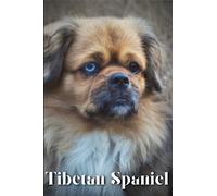 Tibetan Spaniel: Dog breed overview and guide