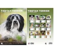 Tibetan Terrier 2026 Calendar - A3 Size 30 x 42 cm, 12 Months of Great Photography