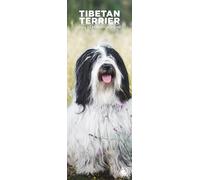 Tibetan Terrier 2026 Wall Calendar, 12-Month Slim Format, Made in England