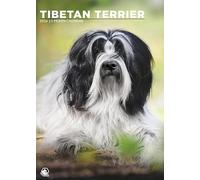 Tibetan Terrier Dog 2026 Calendar, A3, Wirobound, Full Colour