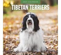 Tibetan Terriers - 2027 Square Wall Calendar - by Red Robin Publishing