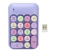 TICFOX Wireless Numeric Keypad 18 Keys Retro Color Round Keycaps Mini Number Keyboard with USB for Laptop Office Work Accounting Excel Spreadsheet ABS Material (Purple Theme)