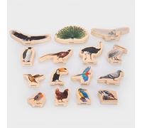 tickit Birch Plywood Bird Picture Blocks - Set of 15 Double-Sided Colour-Printed Blocks Featuring Real Bird Images for Imaginative Play and Language Development